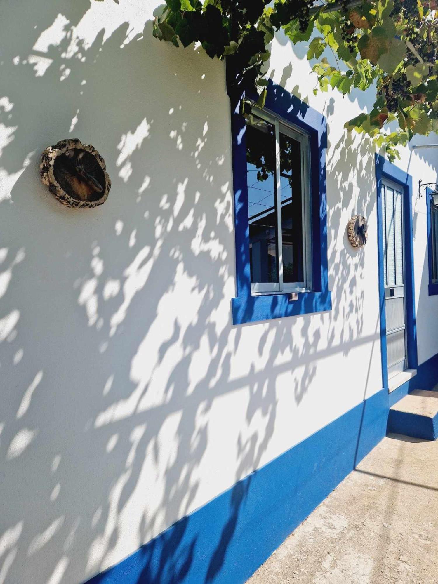 Salgueira  Casa Dos Martelitosヴィラ エクステリア 写真