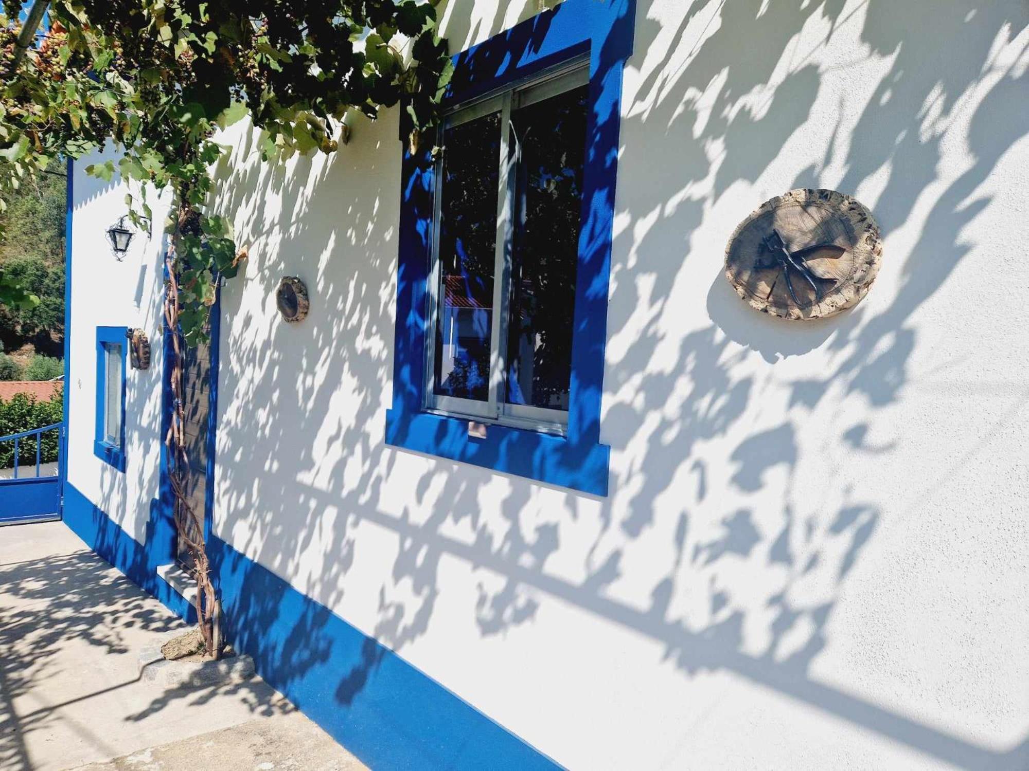 Salgueira  Casa Dos Martelitosヴィラ エクステリア 写真
