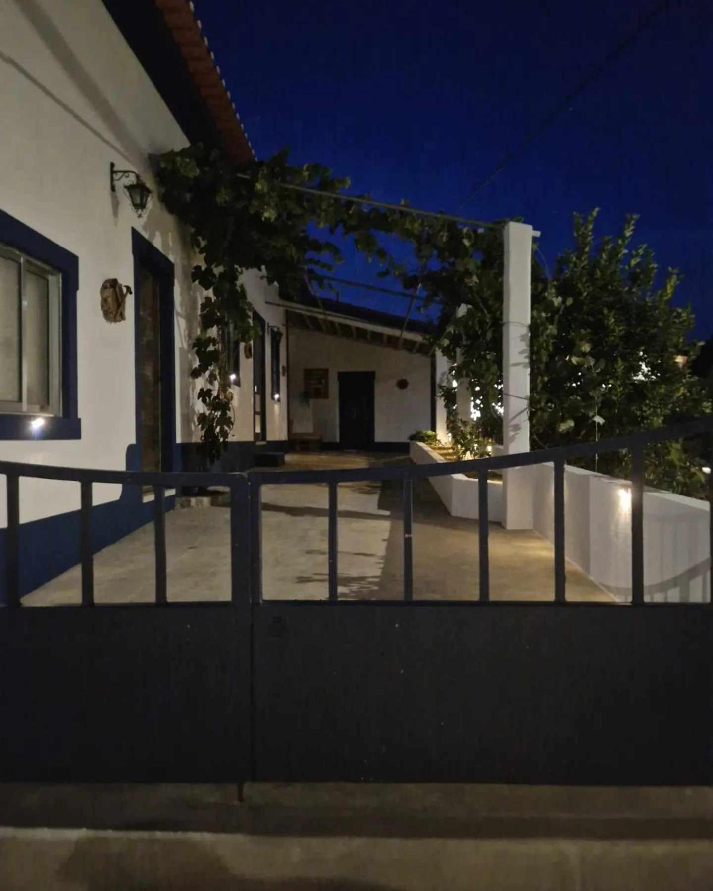 Salgueira  Casa Dos Martelitosヴィラ エクステリア 写真
