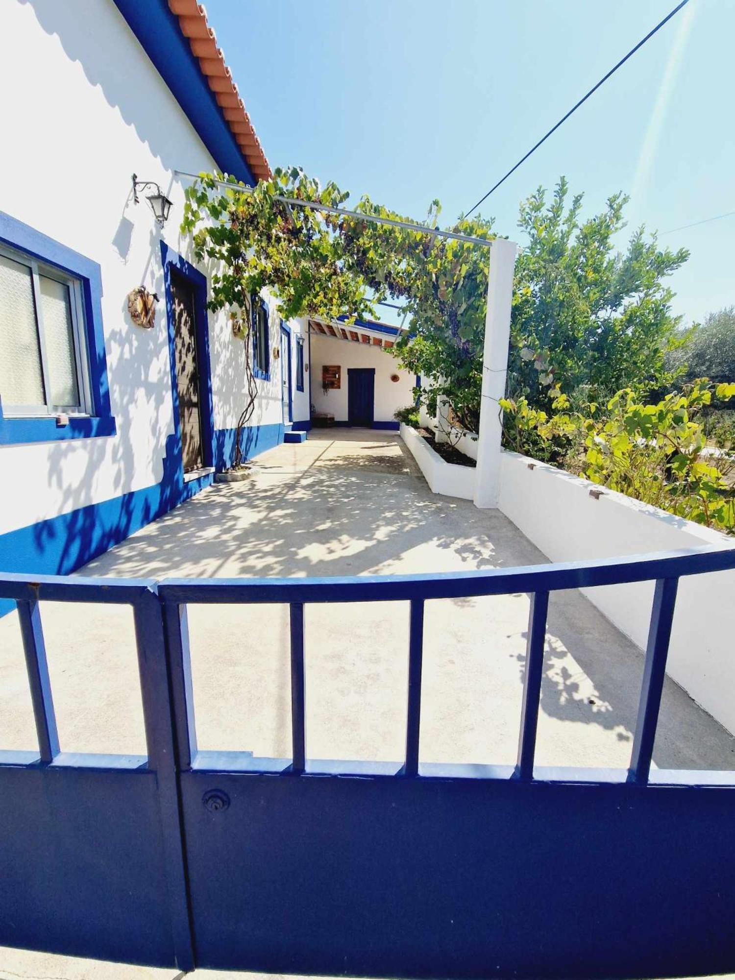 Salgueira  Casa Dos Martelitosヴィラ エクステリア 写真