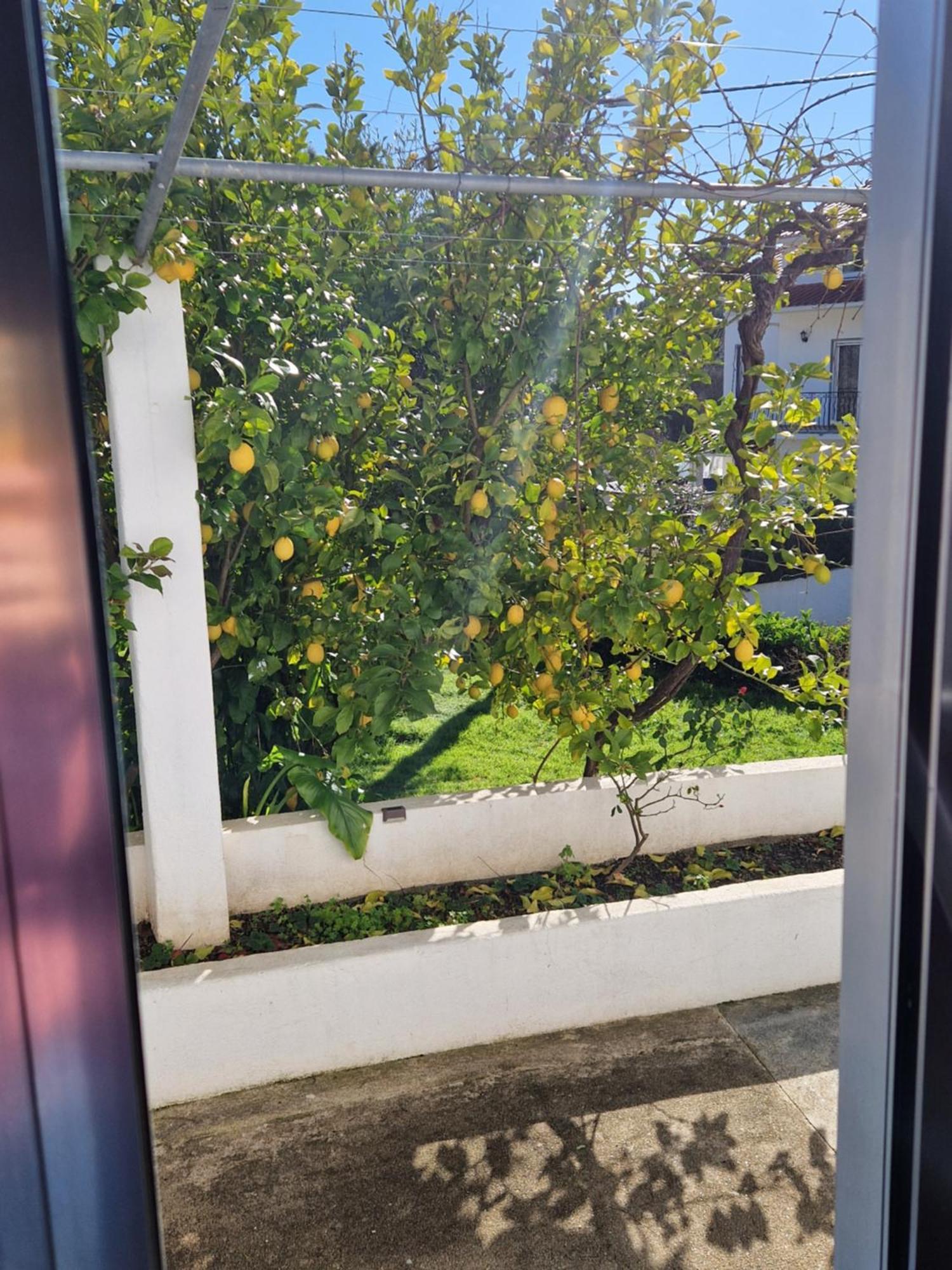Salgueira  Casa Dos Martelitosヴィラ エクステリア 写真